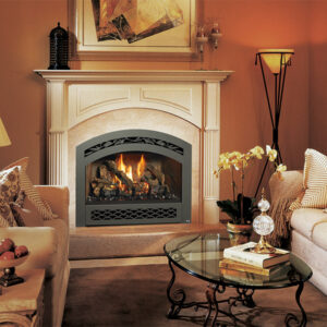 Stock Image - Fireplace X - 564 SERIES PRODUCTS Fireplace X Gas Fireplace - Dunrite Chimney and Stove