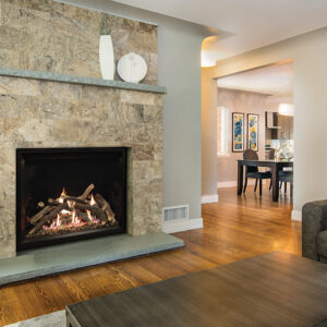 Stock Image - American Hearth - Renegade with TruFlame Technology American Hearth - Dunrite Chimney and Stove