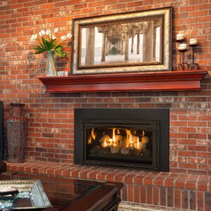 Stock Image - Kozy Heat Chaska 29 Gas Inserts - Dunrite Chimney and Stove