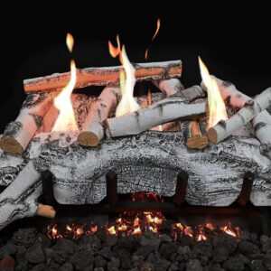 Stock Image - Grand Canyon Gas Logs - Aspen Birch Grand Canyon Gas Logs - Dunrite Chimney and Stove