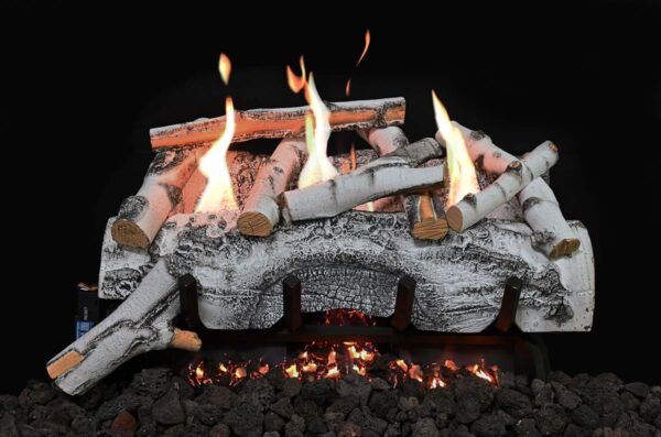 Stock Image - Grand Canyon Gas Logs - Aspen Birch Grand Canyon Gas Logs - Dunrite Chimney and Stove